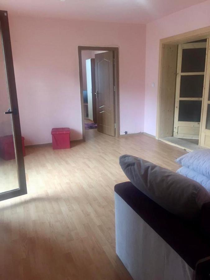 Pensiunea Magda Câmpulung Moldovenesc Exteriör bild